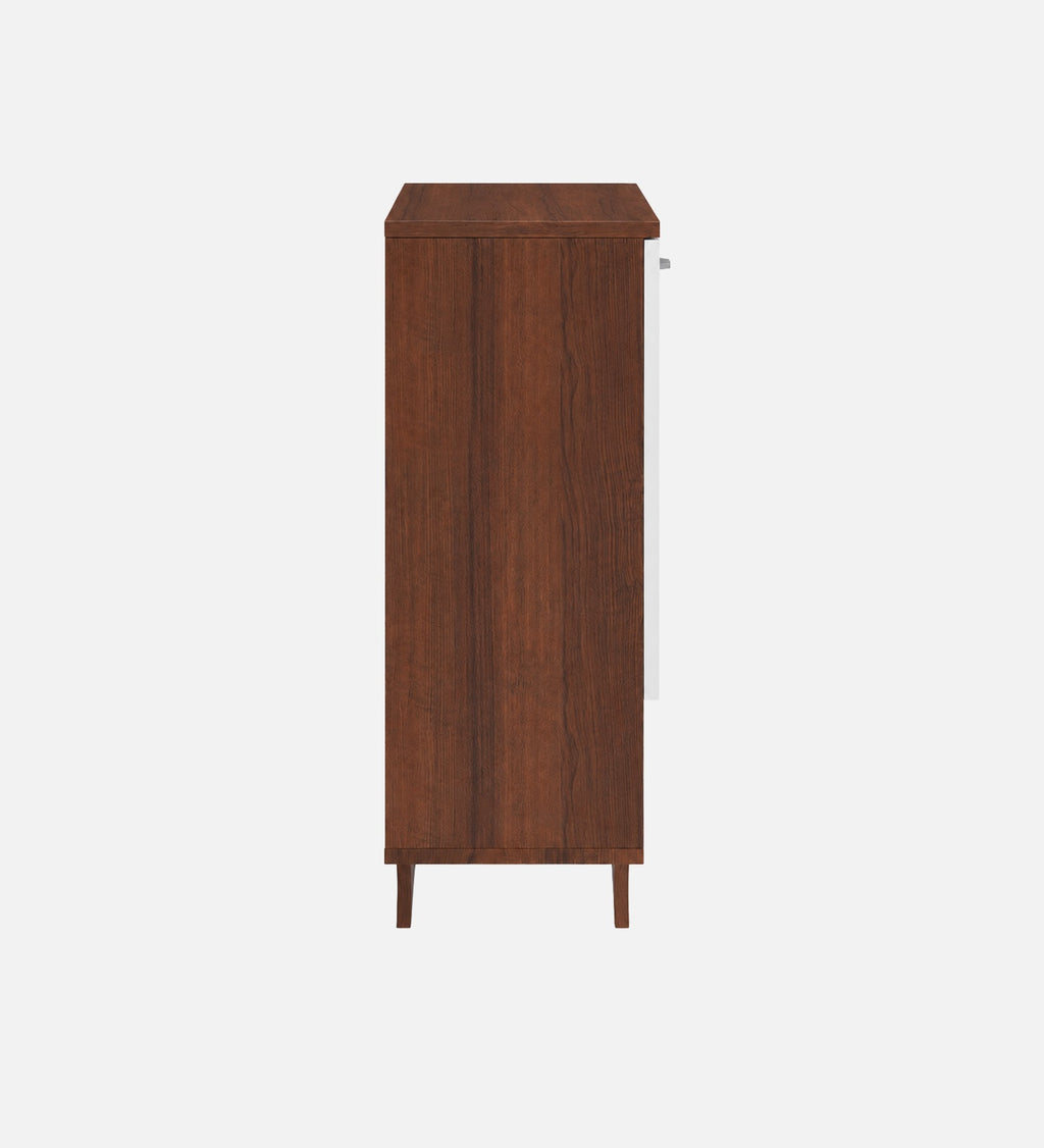 RayTrees Metro Shoe Rack with Open Shelf | Walnut &amp; White